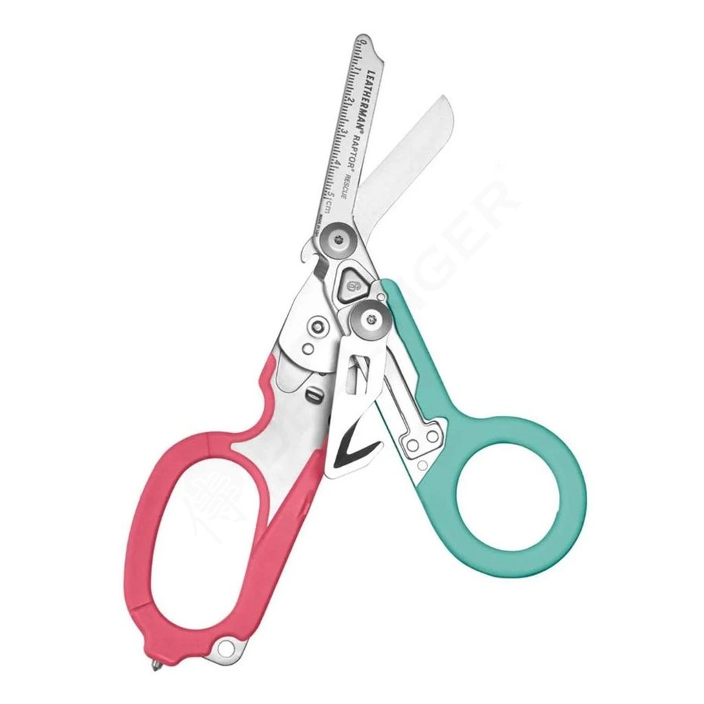 foto RAPTOR RESCUE� SOUTH BEACH